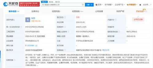 四川路橋比亞迪合資礦業公司注銷 跨界合作落幕，互聯網銷售模式下的礦業轉型反思